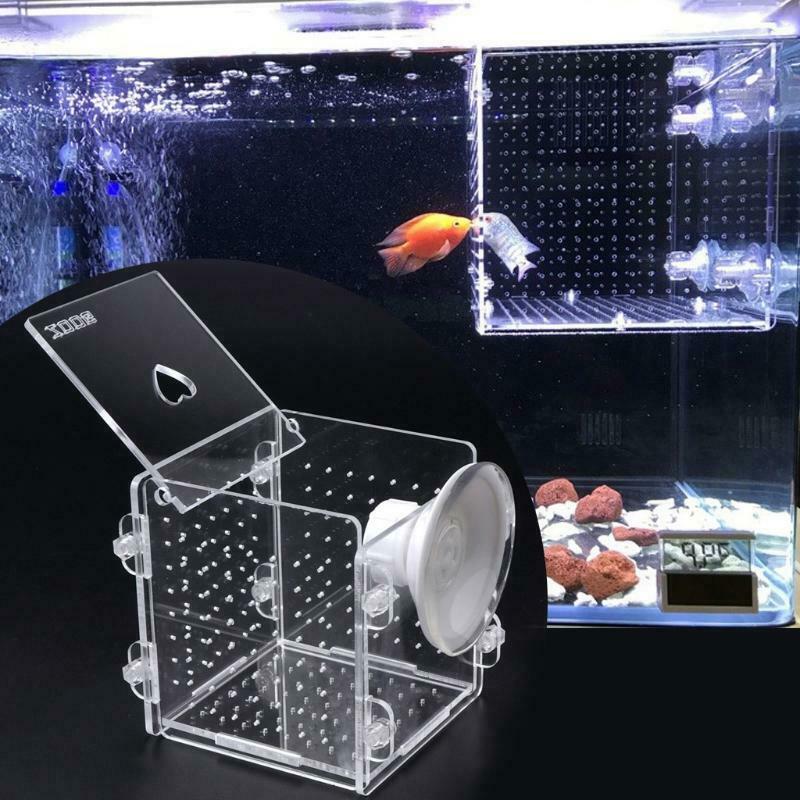 Aquarium Fish Breeding Isolation Box Fish Tank Incubator Breeder For Baby Fish