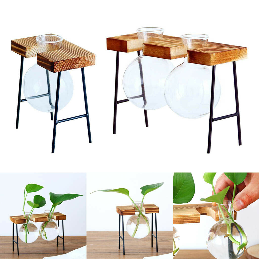 Set of 2 Hydroponic Glass Planter Container in Wooden Stand Plant Stand
