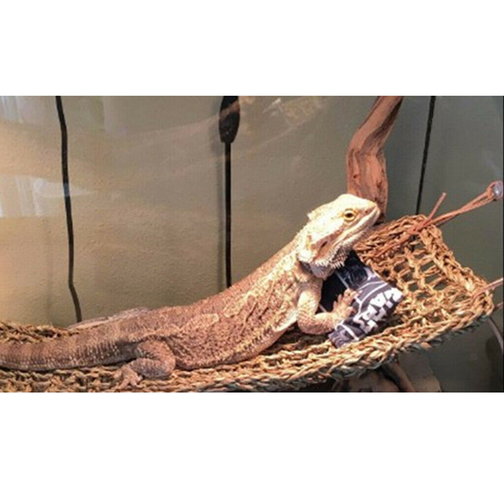 2Pcs Reptile Pet Hammock Lizard Lounger Natural Seagrass Corner Hammock