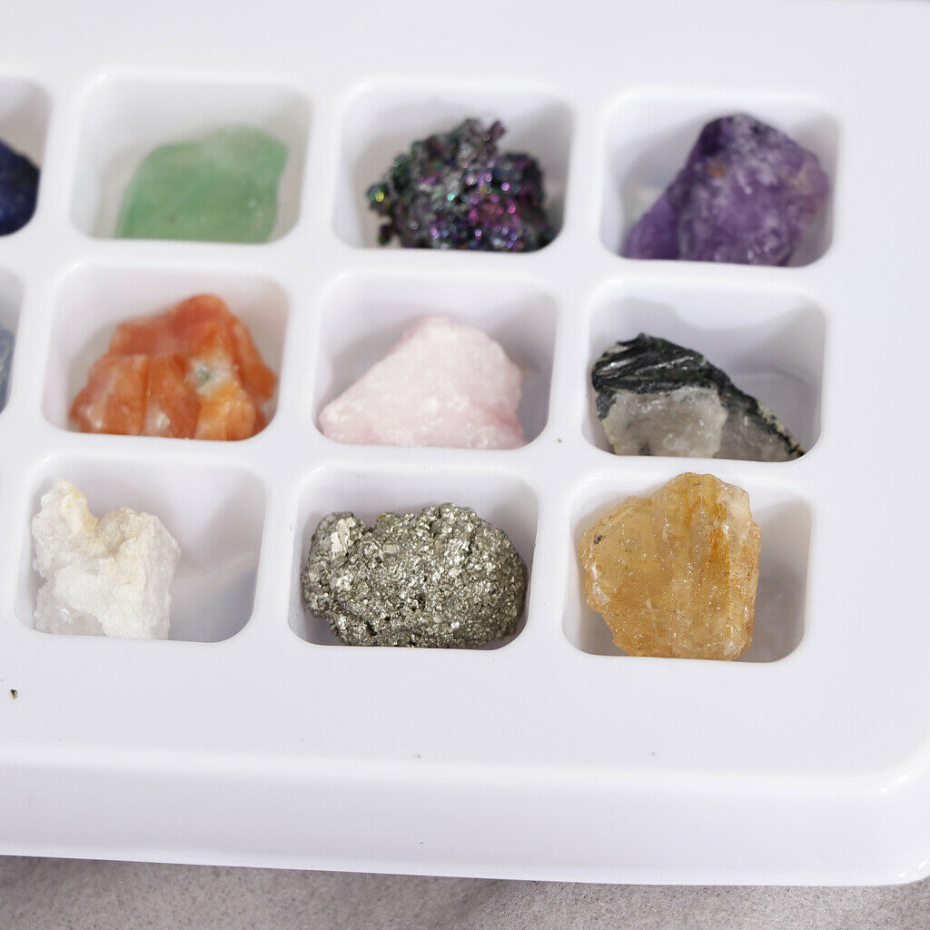 Rock and Mineral Earth Science School Teaching Display Collection Gift
