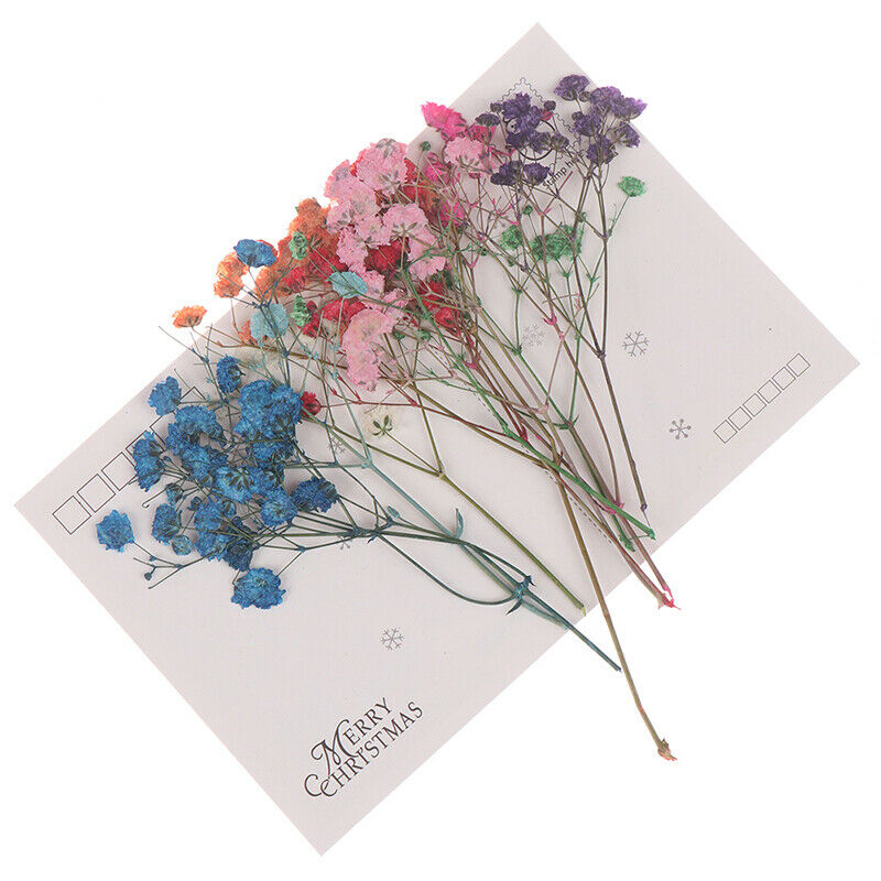 10x/Set Mini Gypsophila Cute Dried Flower Wedding Decoration DIY Hand acc.l8
