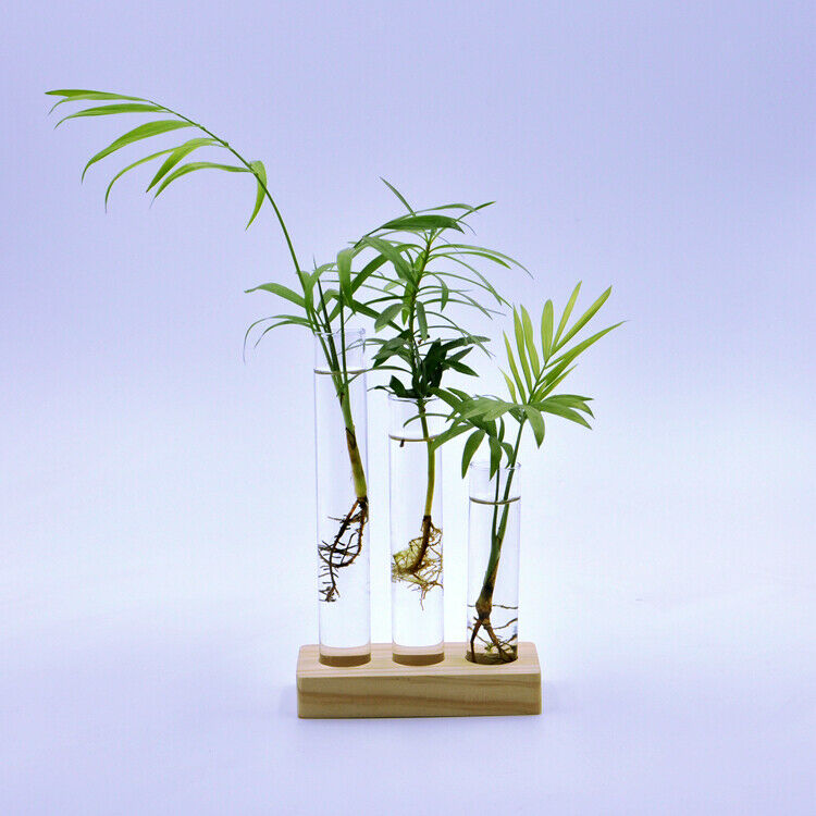 Creative Home Wedding Ornaments 3Pieces Test Tube Flower Vase Pot + Wooden Base