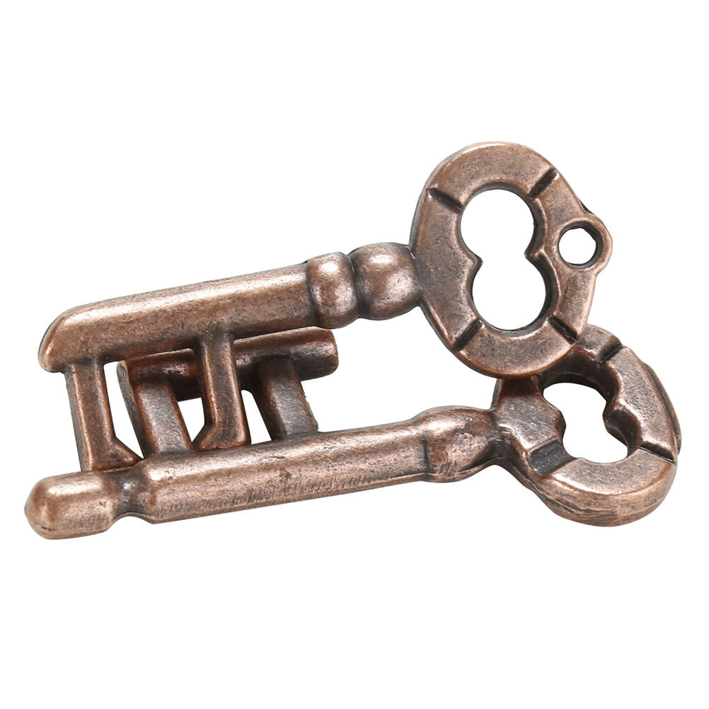 1Pcs Alloy Key Ring Puzzle Brain Tester IQ Test Kids Adults Intelligent Toys DF