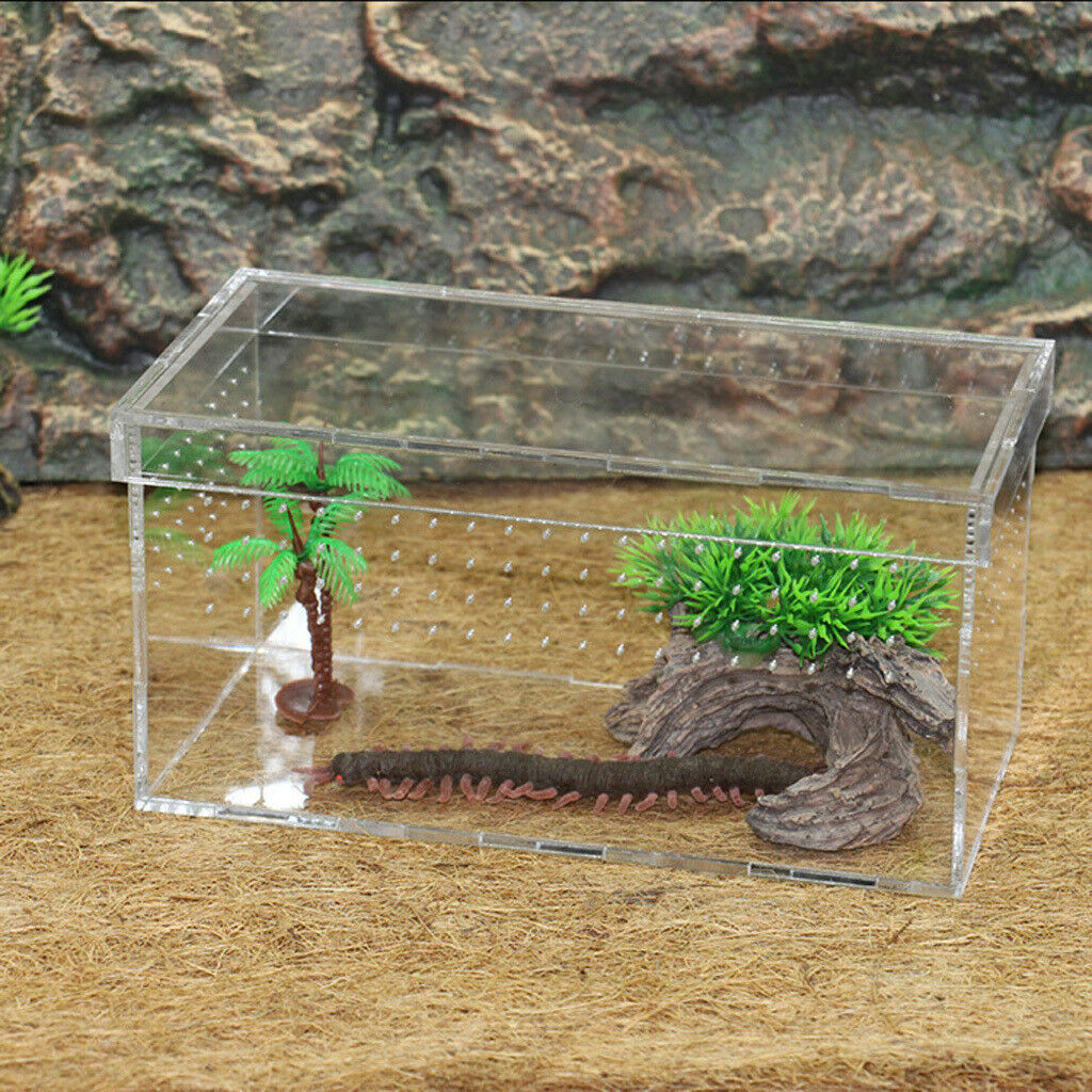 Acrylic Reptiles Terrarium Container Ideal for Reptiles or Amphibians ,Clear,