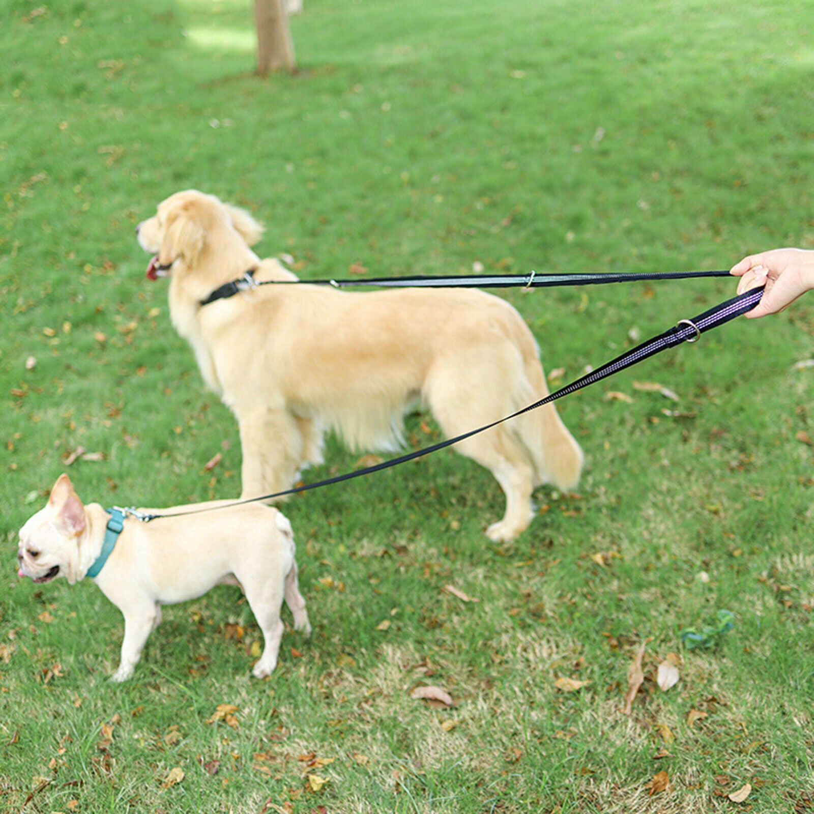 Long Nylon Dog Leash Dog Training Walking Nylon Lead Leash for Medium Dogs