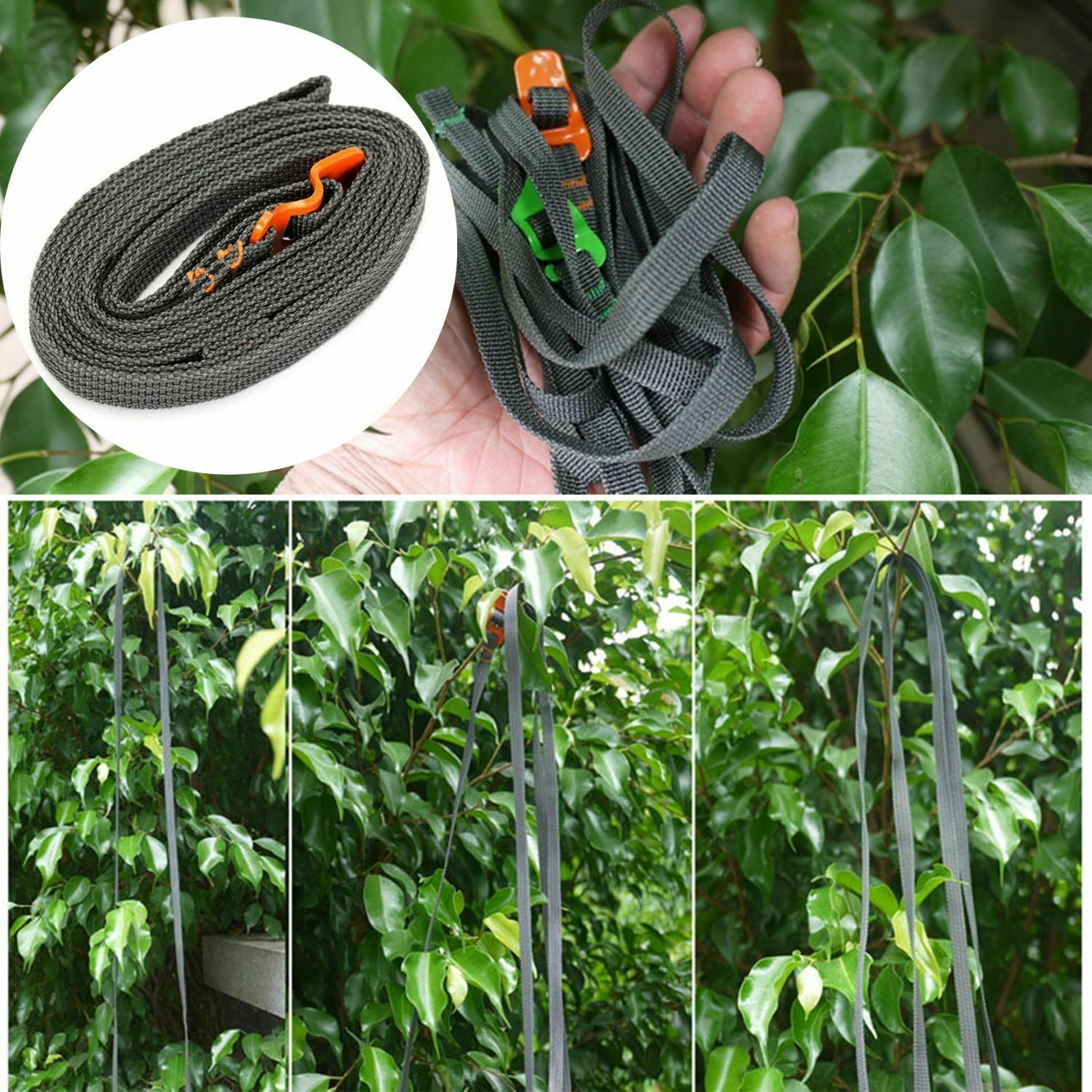 Durable Camping Cargo Rope Travel Bag Tie Buckle Tie-Down Belt Luggage Strap