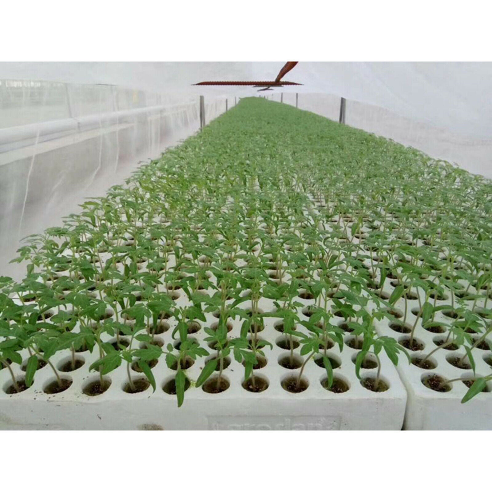 50x Plant Starter Plugs Cubes Rockwool Hydroponic Grow Media Nursery Block