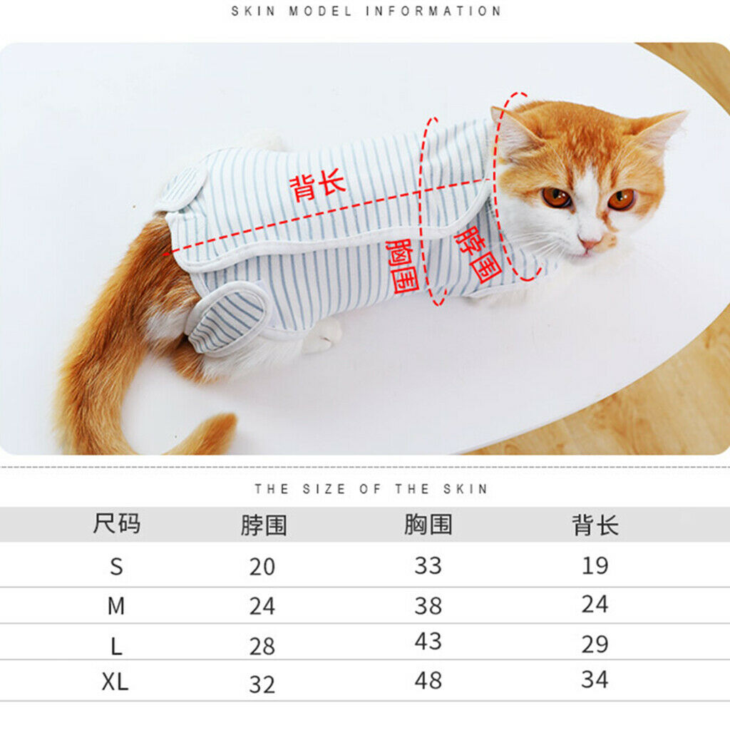 Cat Recovery Suits After Surgery Wear Clothes For Small Pet Cat Kitten XL