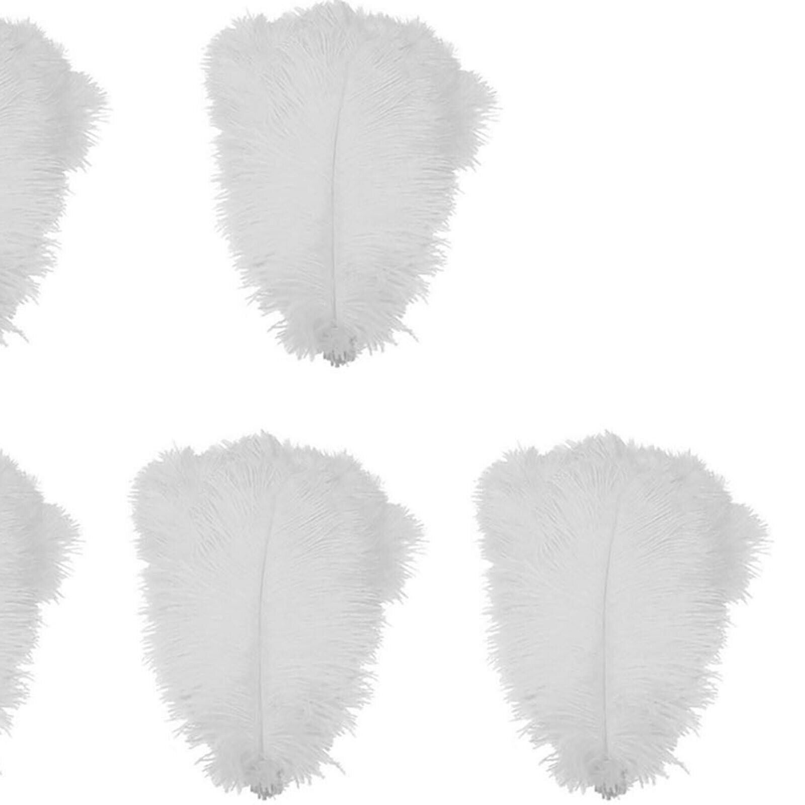 10x Ostrich Feathers 9.8-11.8 inch Decorations Home White #Natural for Party