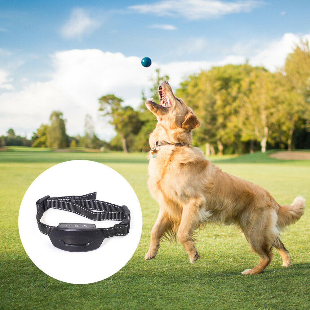 Waterproof Ultrasonic  Dog Training collar E-Collars For Small Medium Large Dogs