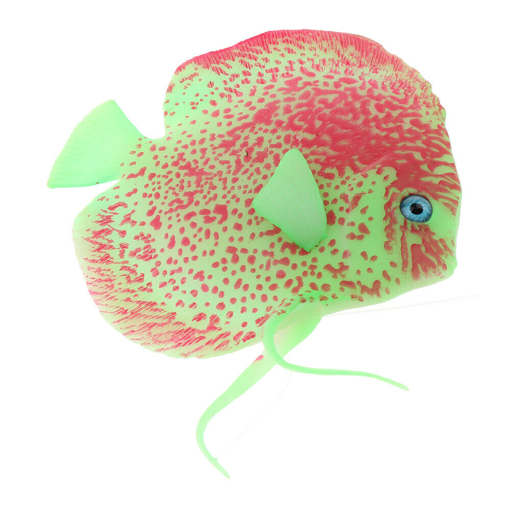 Beautiful Aquarium Angel Fish Attractive for Your Tank Safe for All Fish