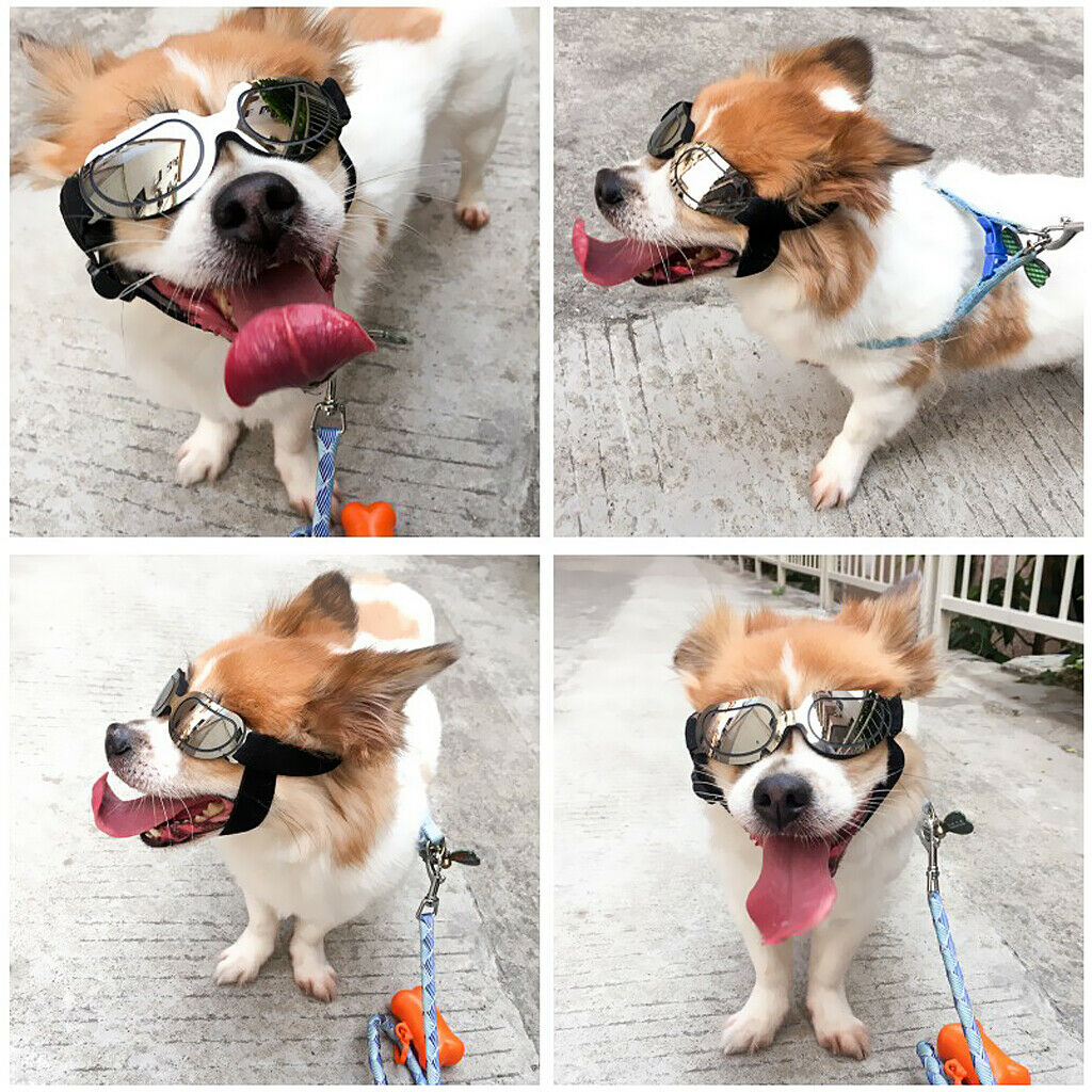 Adjustable Anti-Wind Goggles Pet Dog Eye Protection UV Sunglasses Colorful
