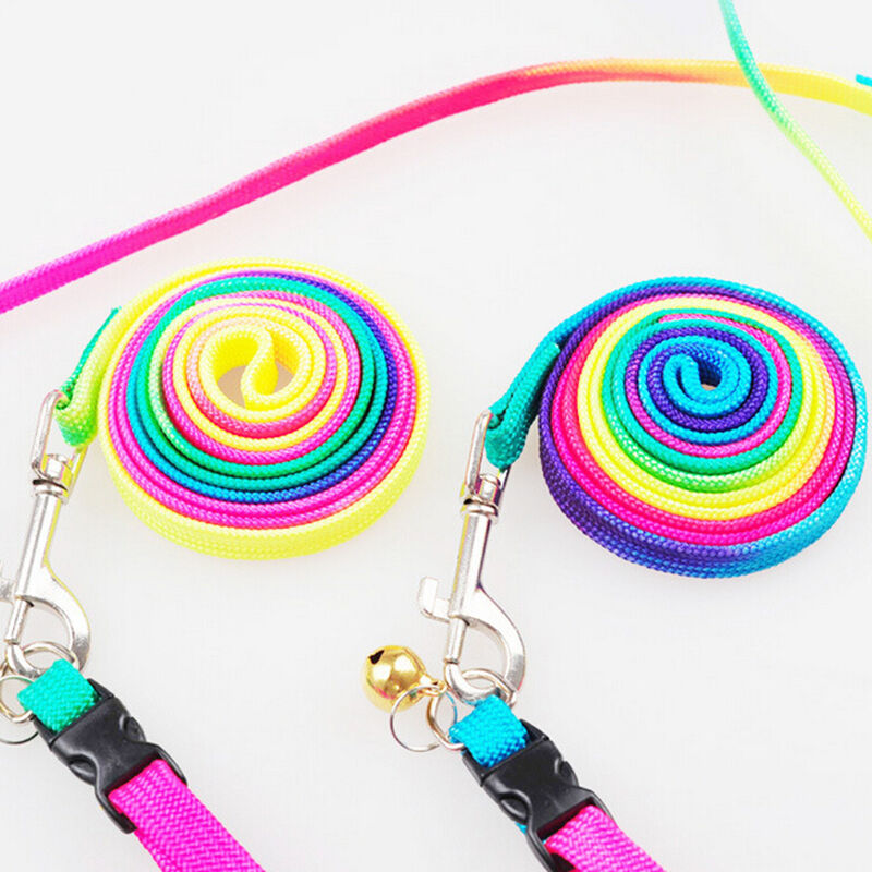 Small Dog Puppy Doggy MultiColor Rainbow Harness Lead Luminous Lead Leash ATDD