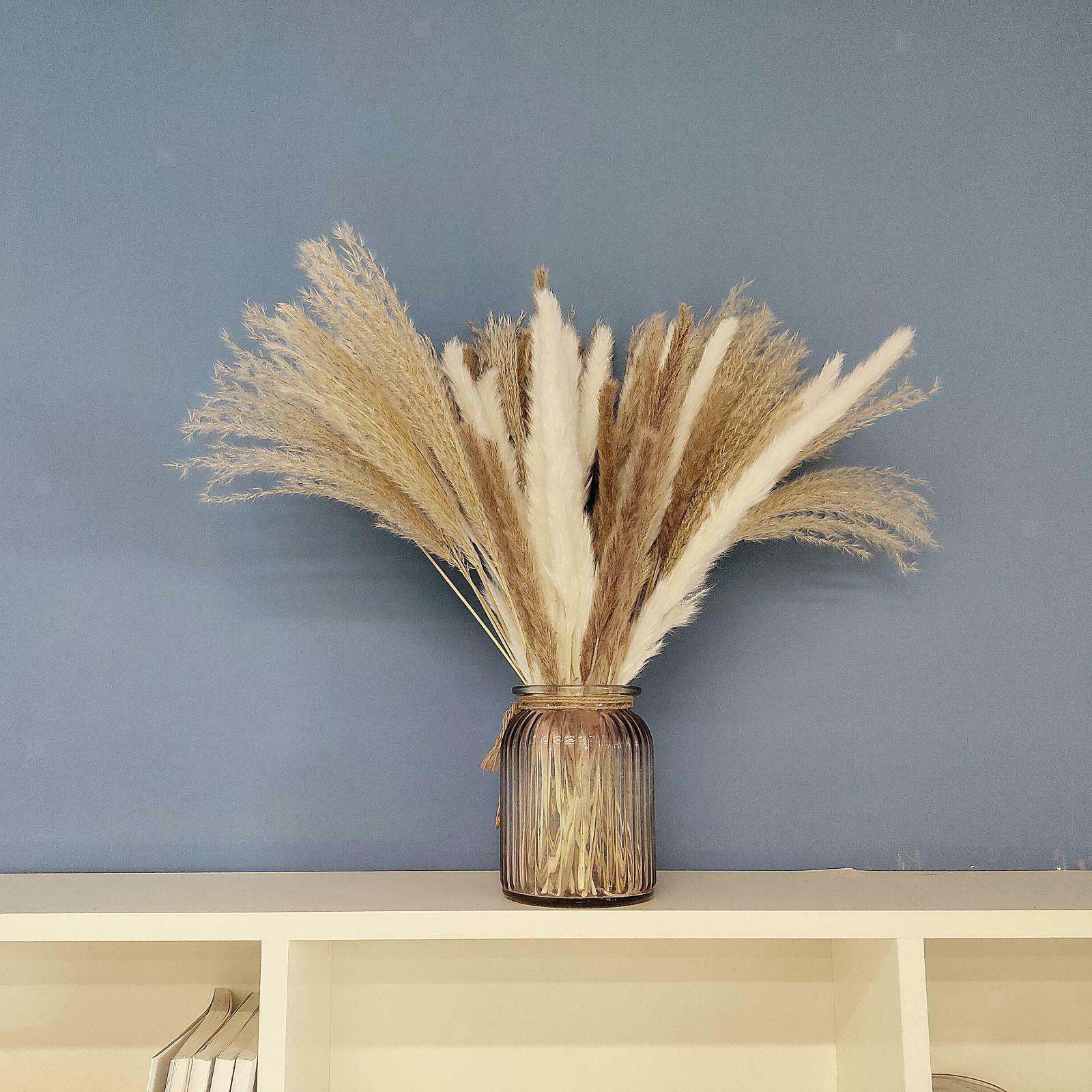 Pampas Grass Natural Dried Pampas Grass Decor for Home Arrangements, Pampas