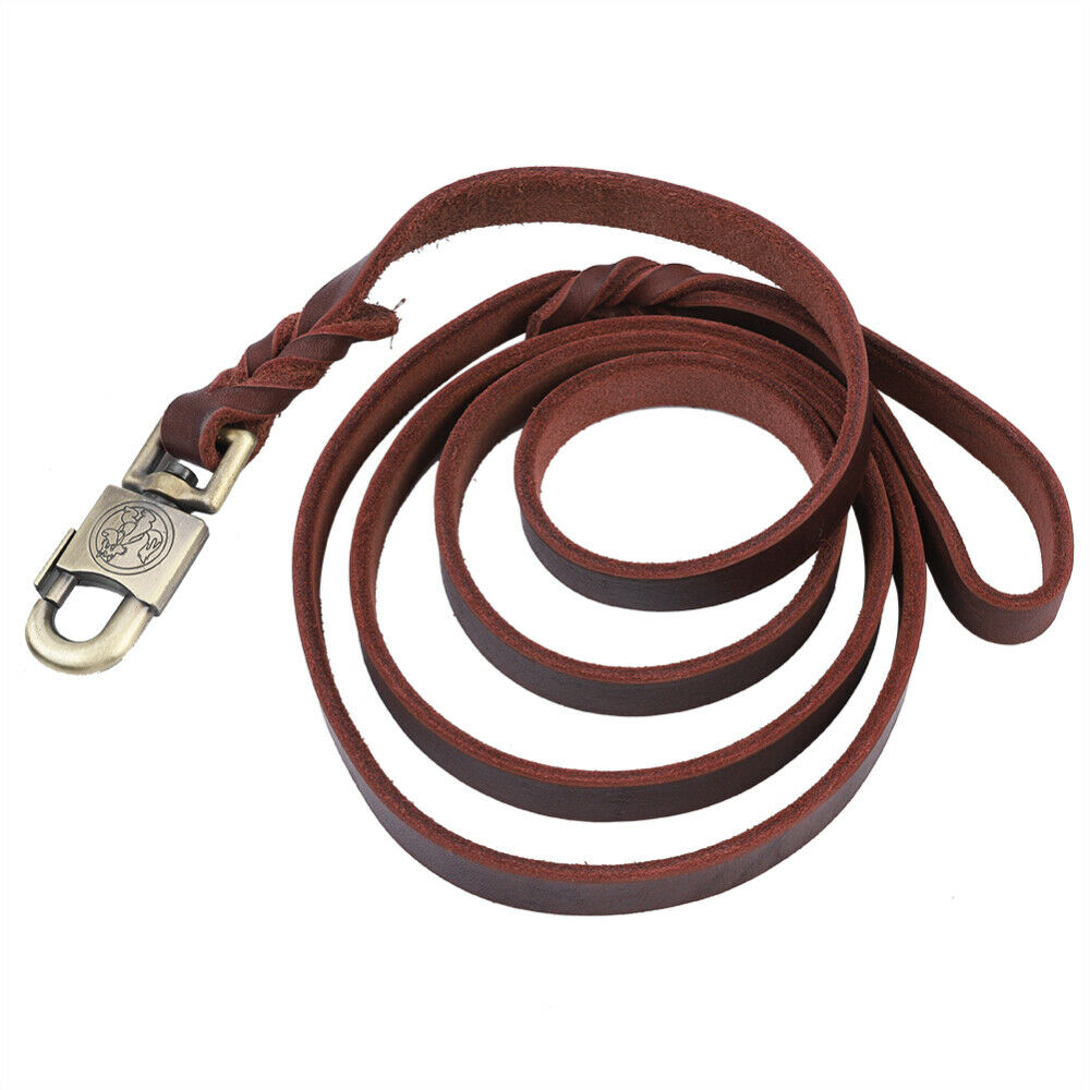 Durable Dog Training Leash Stylish Dog Strap for Medium Dogs for Large Dogs