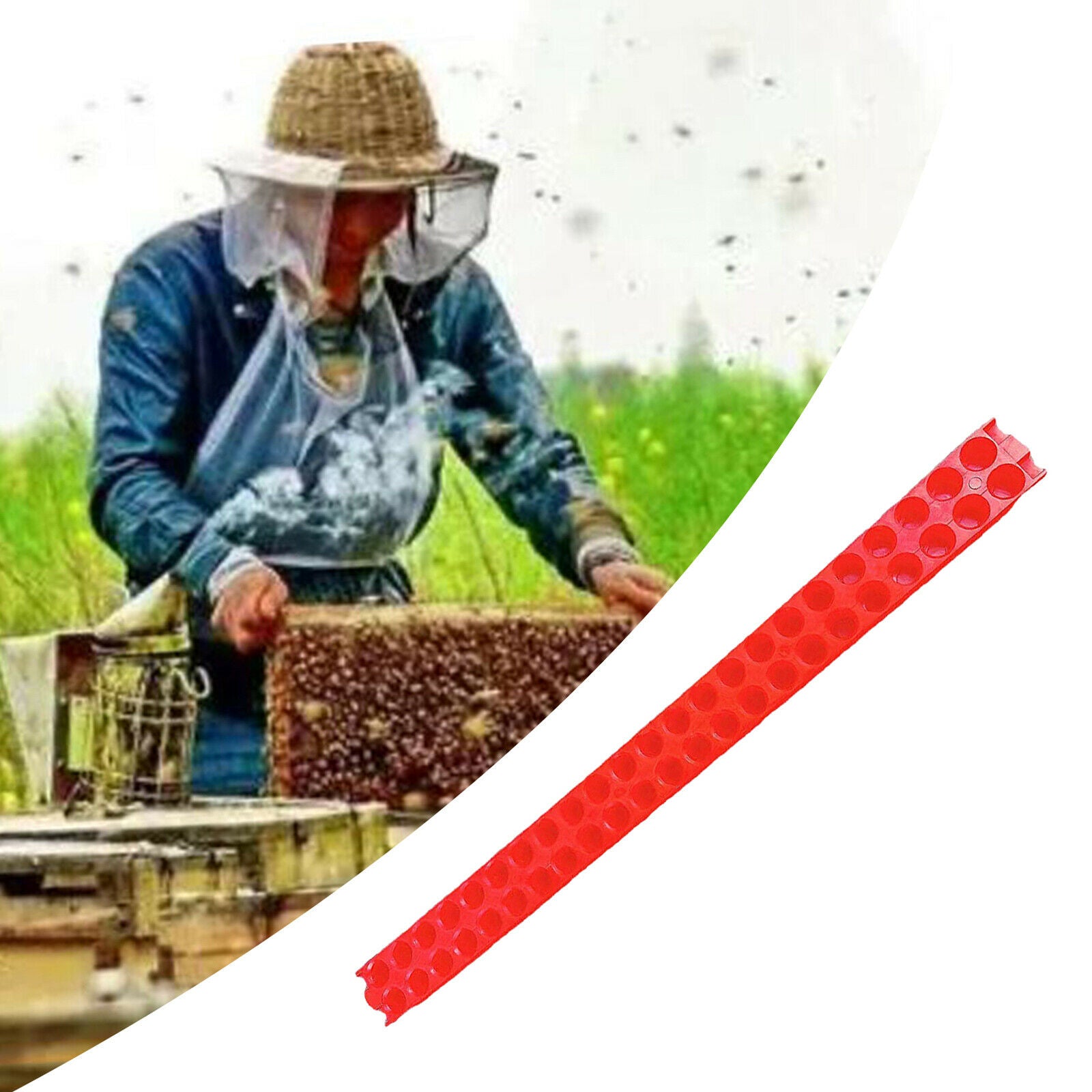 Plastic Queen Bee Transportation Strip for Isolator Cage Beekeeping Tools