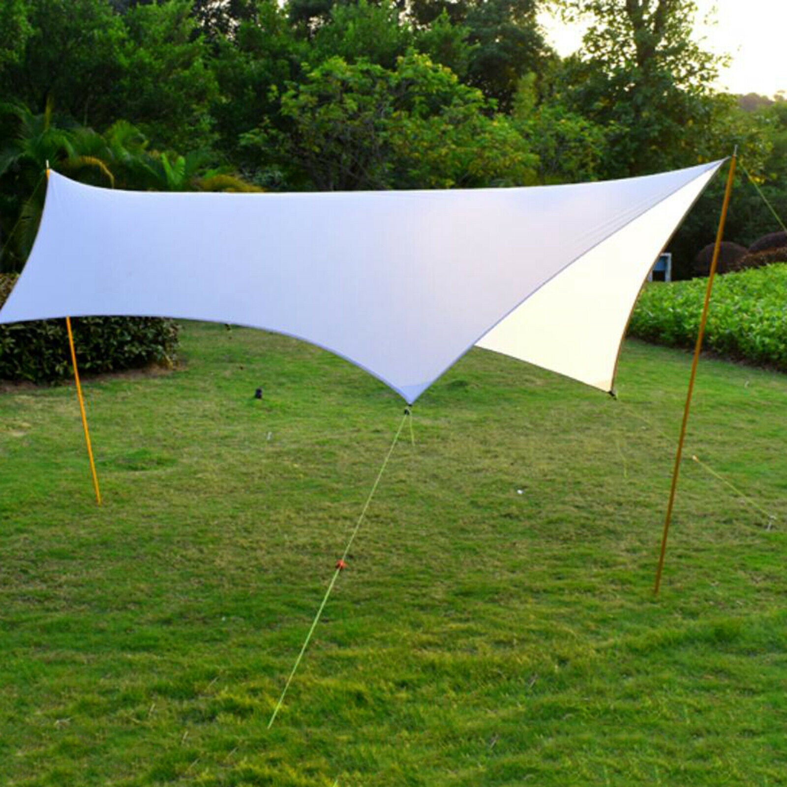 2Pack Solid Tarp Support Poles Camping Canopy Tent Rod with Storage Bag
