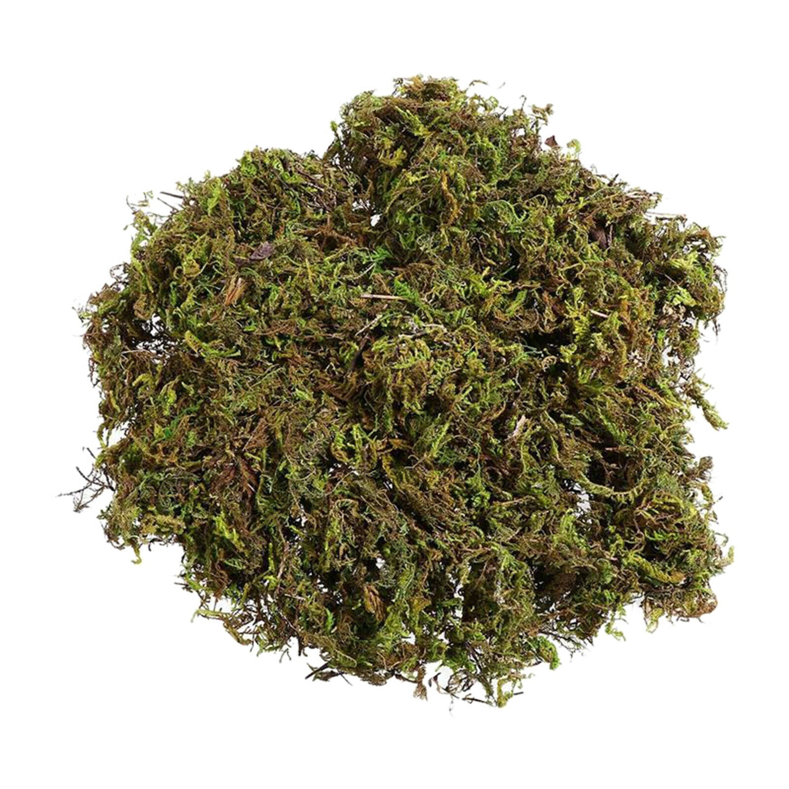 100g Simulated Keep Dry Green Moss Green Plant Decoration Potted Plants Arts