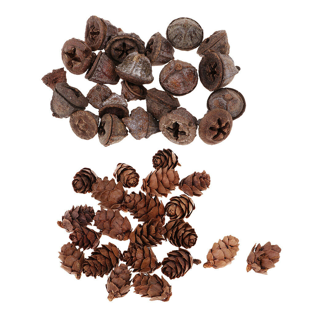 100x Natural Dried Flower Pine Cone Ornament Decorative Bowl