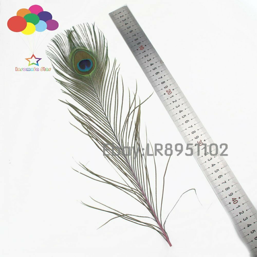 New 100 pcs / Lot pink Beautiful Peacock Feathers 40-45 cm DIY Weddings Reunions