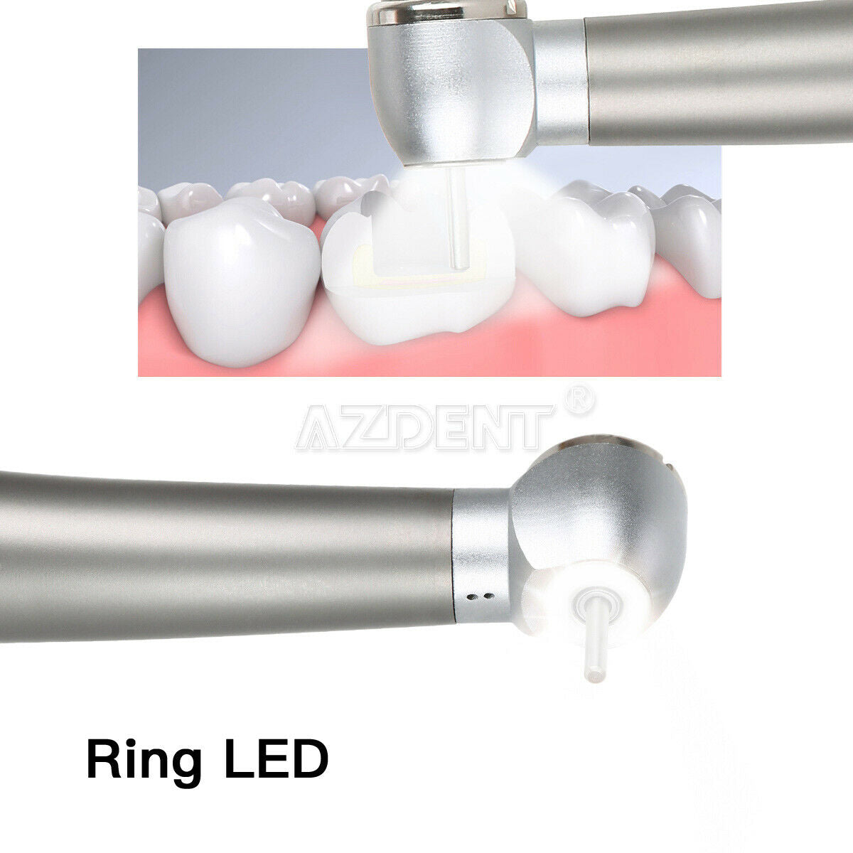3XDental E-generator Shadowless Ring LED High Handpiece Ceramic B2