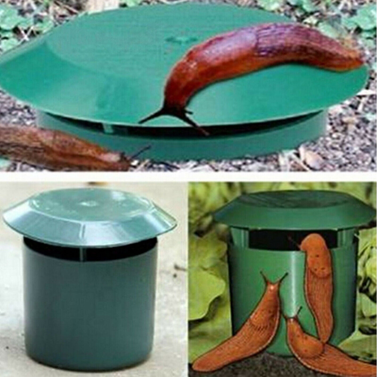 Snail Slug Trap House Farm Protector Box Snail Cage Tool Garden Supply