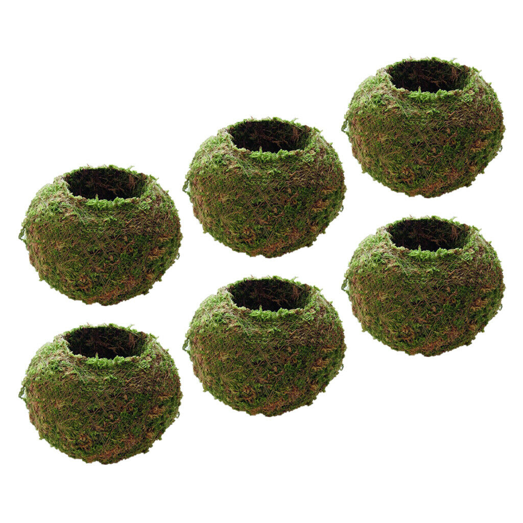 6 x Natural Moss Planting Ball Flower Pot Succulent Pot Garden Ornament 9cm