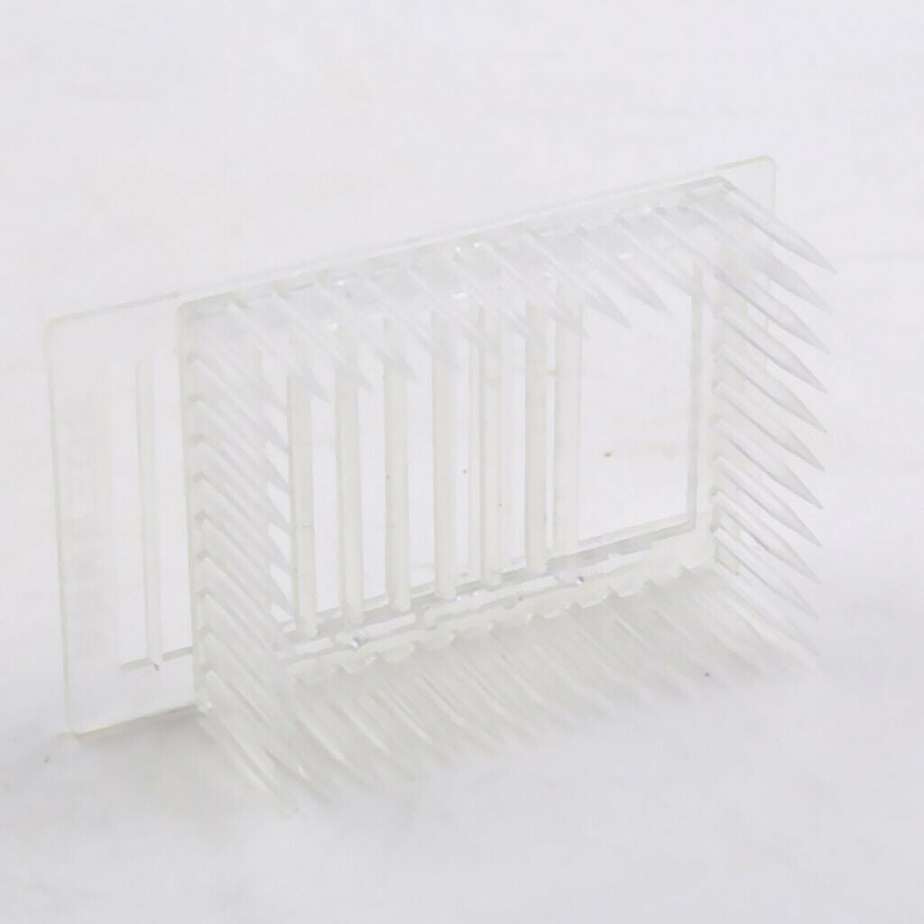 White Beekeeping Queen Bee Rearing Cages Isolating Holder Catcher Needle