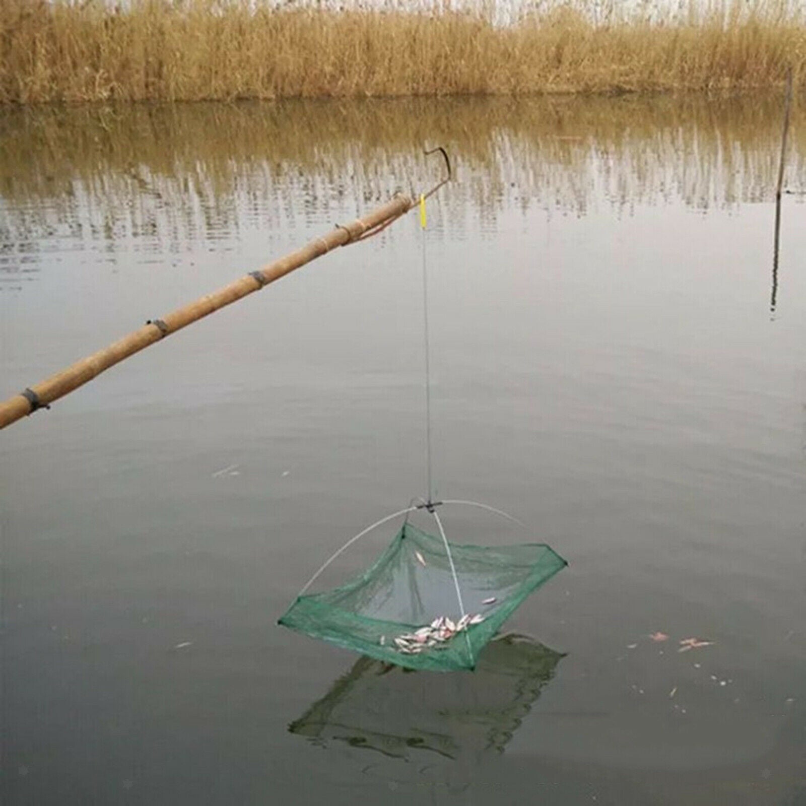24"x24" Folded Fishing Net Small Fish Crayfish Crab Bait Cast Cage Trap