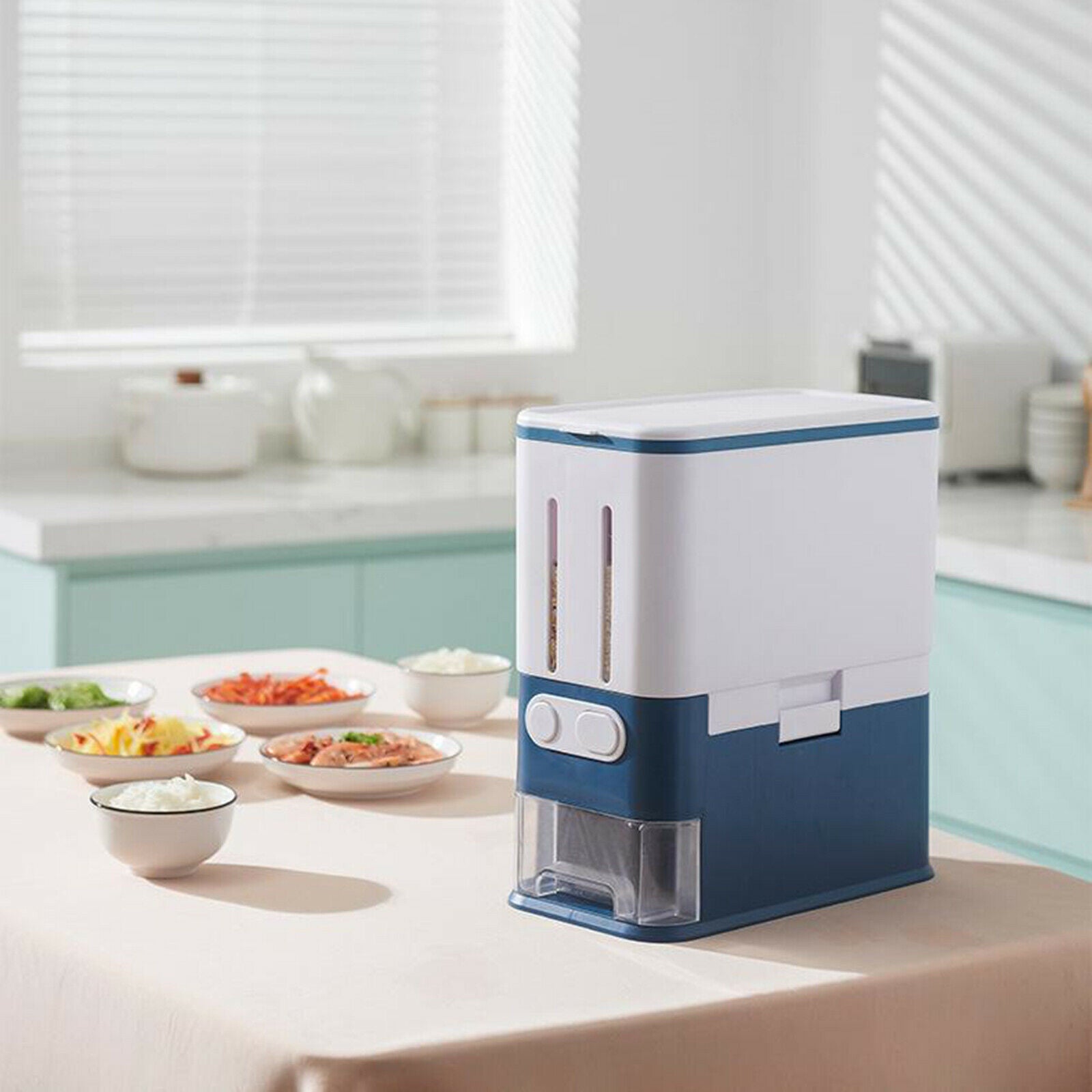 Large Rice Dispenser Rice Storage Box Food Container Kitchen Organizer, 10L
