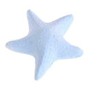 Pet Mineral Stone Natural Calcium Hamster Squirrel Starfish Shape Teeth Grinding