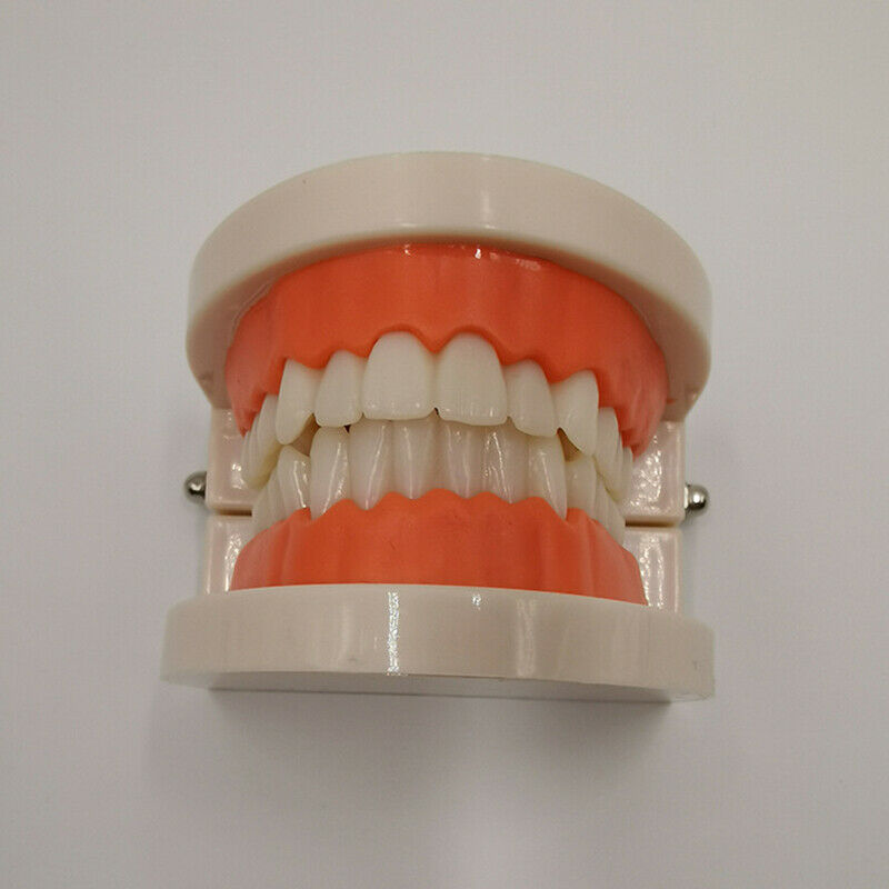 Educational Toys for Children Kids Intelligence Brushing Tooth Teaching AidsFCA