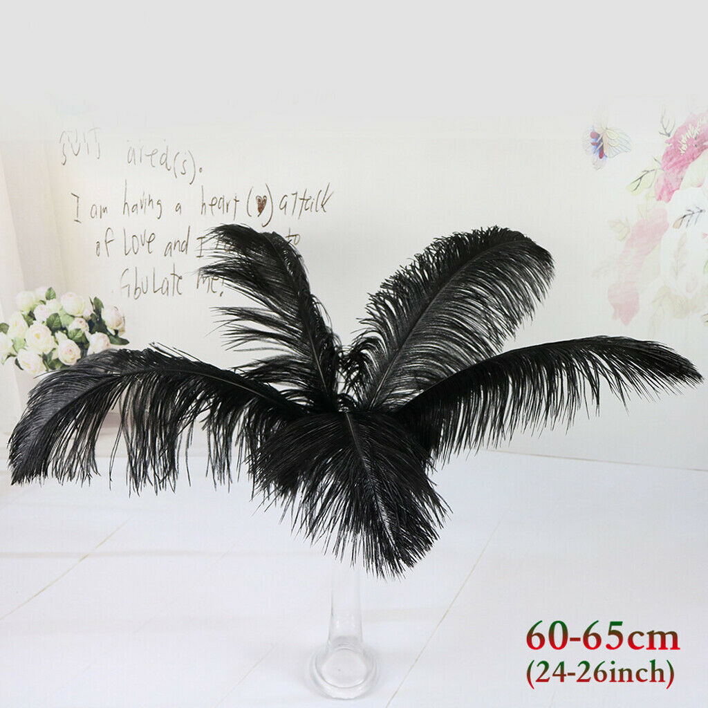 2m Beautiful Goose Feather Fringe Trims Lace Ribbon for Sewing Garment Decor