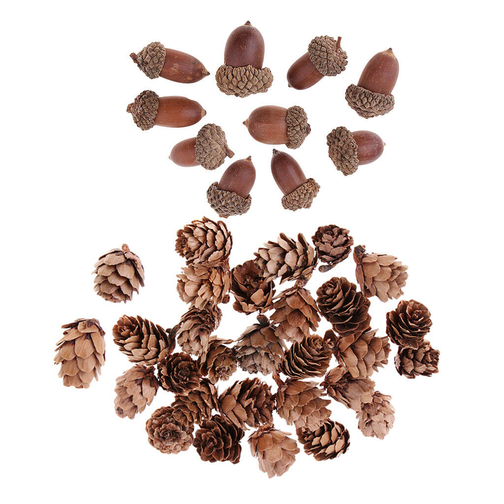 40Pcs Mixed Dried Pine Cone Acorn Artificial Art Home Room Decoration Props