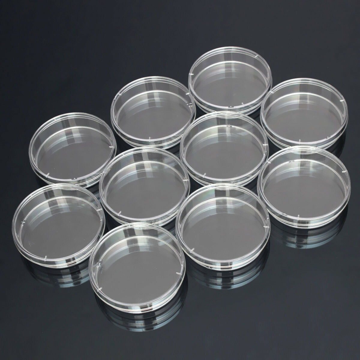 10pcs Transparent Sterile Petri Dishes 60 x 15 mm For Lab Plate Yeast