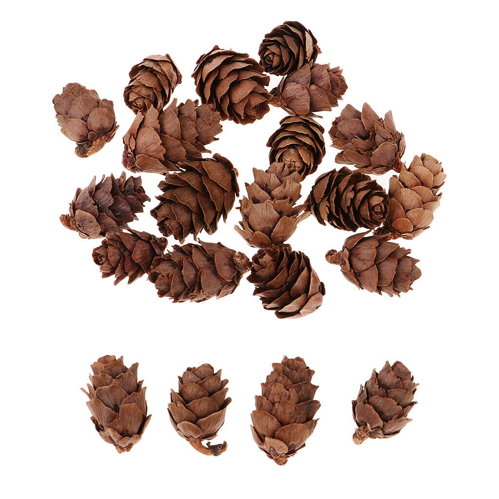 100x Decorative Pinecone Pine Cone Vase Bowl Filler Display Table Decoration