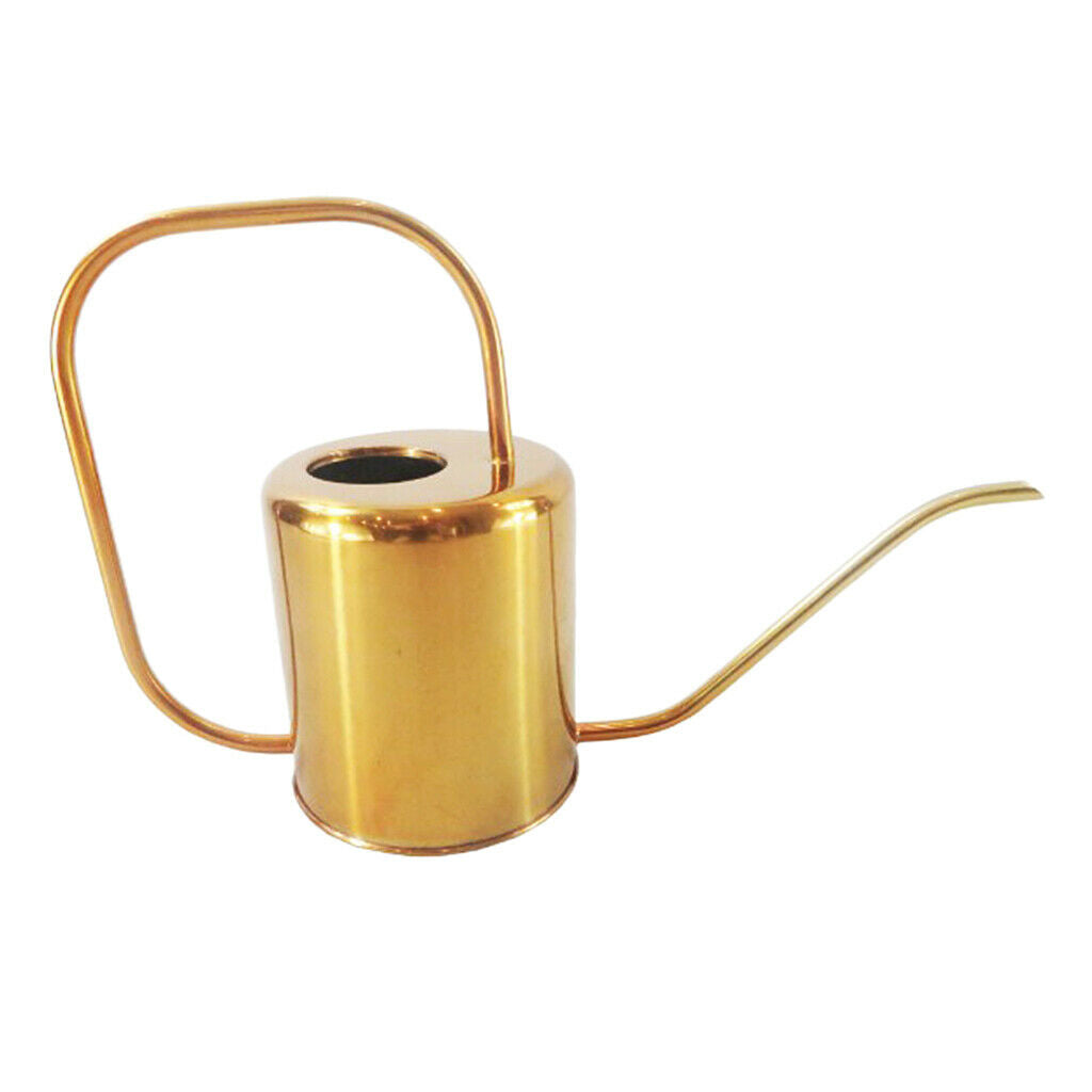 Rustproof Metal Can Sprayer Irrigation Tool Indoor Flowers Bonsai Herbs