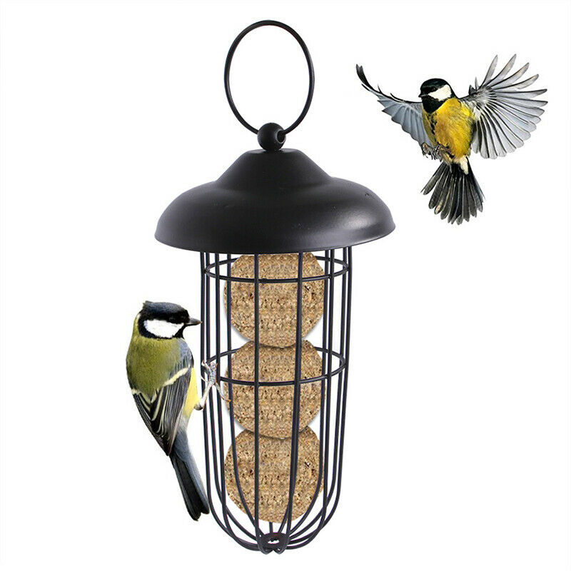Bird Feeder Hanging Automatic Bird Feeding Tool Metal Carrying Pet Bird FeedBDA