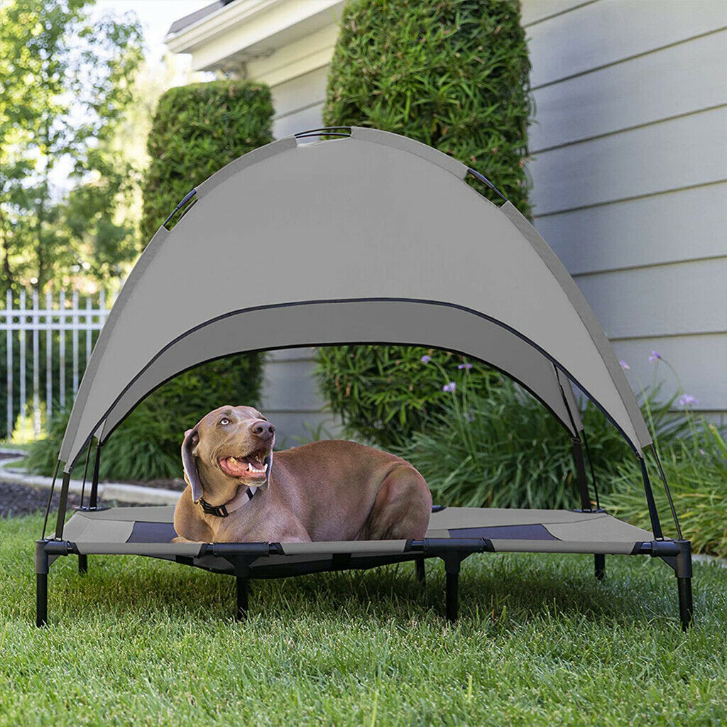 Elevated Pet Bed with Canopy Lightweight Dog Cat Camp Tent Outdoor Beach