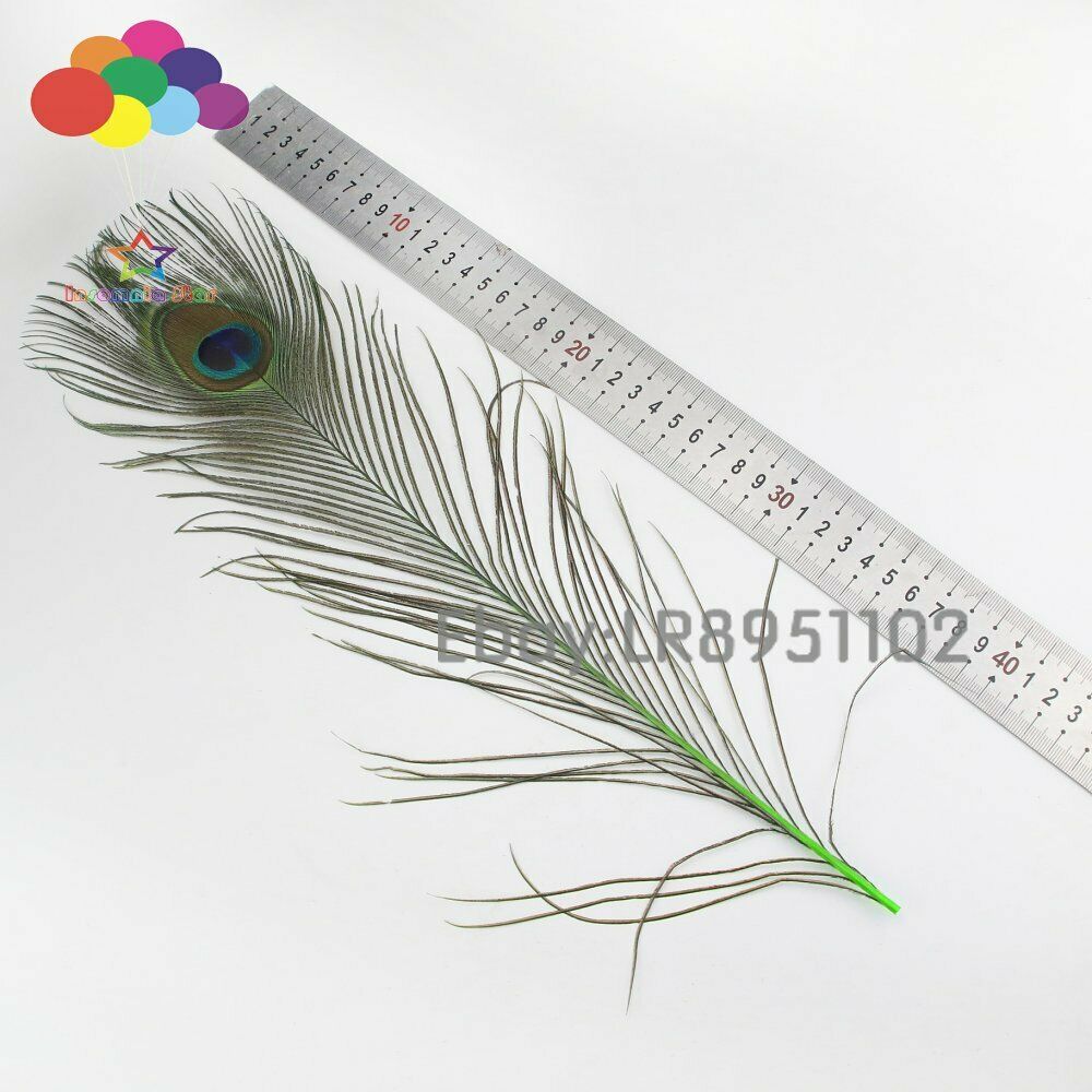 Fruit green crafts 40-45cm Peacock Eye Tail feathers DIY hair wedding party home