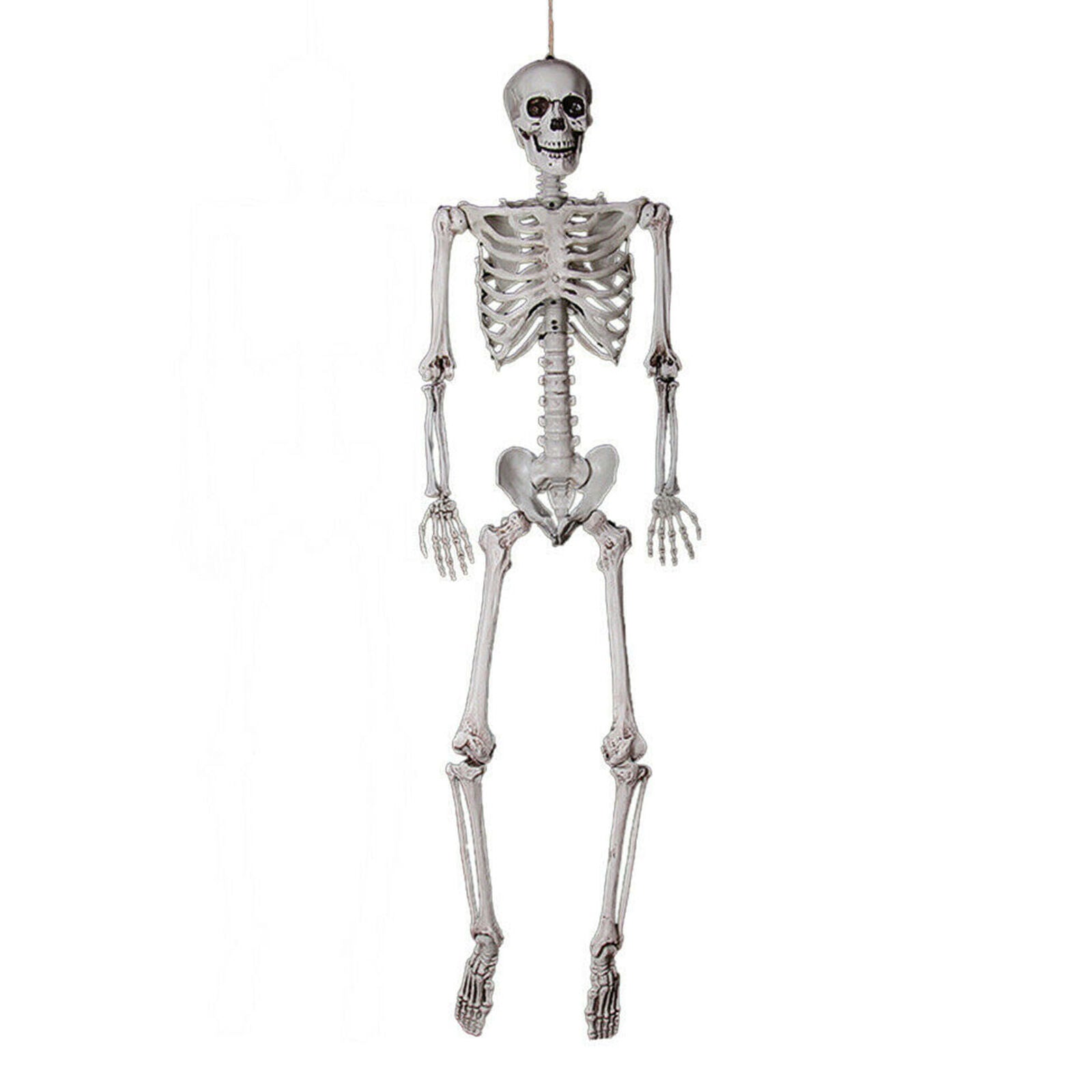 Plastic Jointed Human Skeleton Decoration Halloween Party Prop Decoration