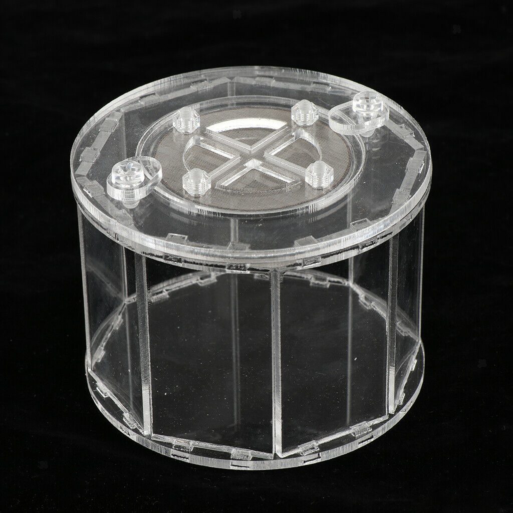 Spider Insect Reptile Tank Vivarium Cage Box Clear Acrylic Terrarium Clear