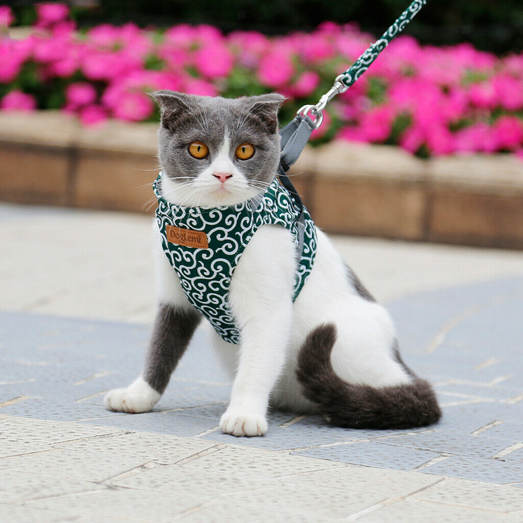 Small Pet Cat Harness Vest with Leash Cat Walking Outdoor Outfits Green-XS