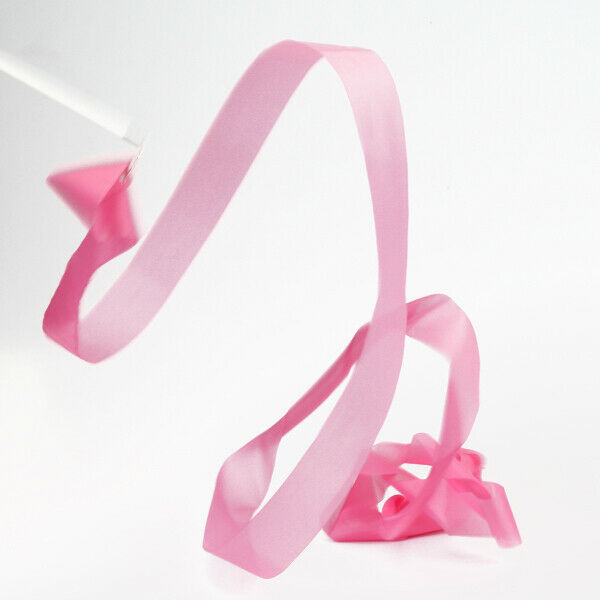 2x Pink Gym Rhythmic Gymnastic Ballet