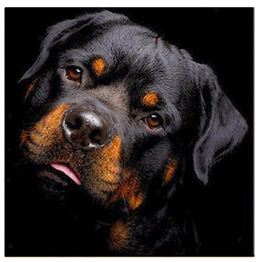 Full Drill Dog 5D Diamond Painting Mosaic Embroidery Crafts Cross Stitch Kit
