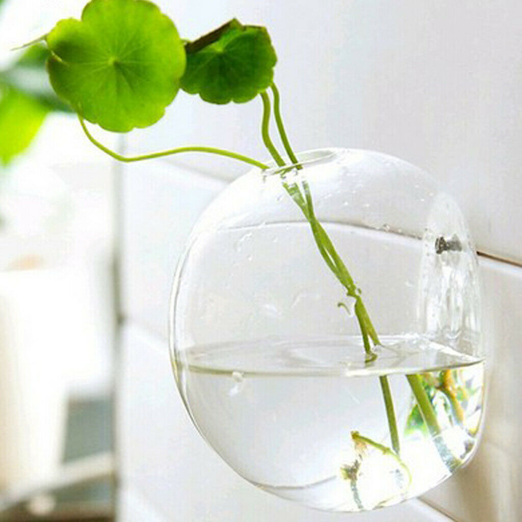 8 x Glass Hydroponic Pot Hanging Planter Flower Vase Wall Art Ornament