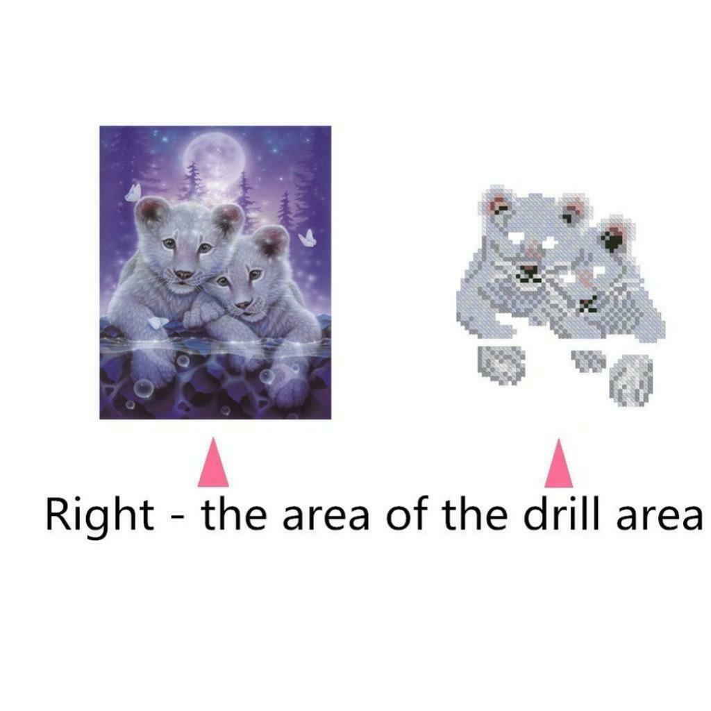 2x DIY Diamond Painting Animal, 5D Diamond Painting Kits for Kids & Adults -