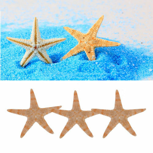 100Pcs Natural Dried Starfish Sea Star Beach Craft Wedding Party Home Decor