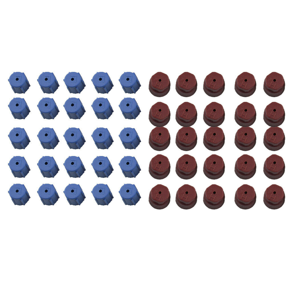50 Pieces AC Charge Port Service Capsule R134a R12 13mm And 16mm Red Blue