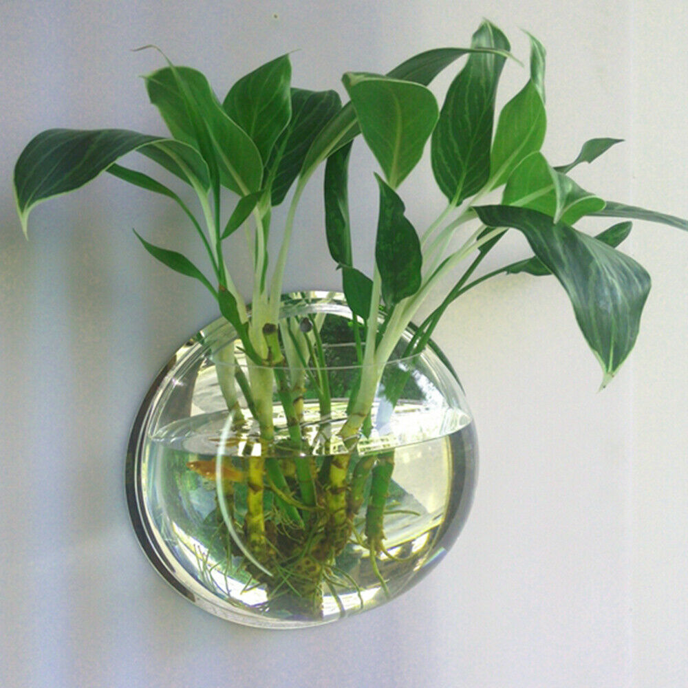19.5cm Wall Mounted Hanging Fish Bowl Home Ornaments Tank Plant Flower Pot Vase